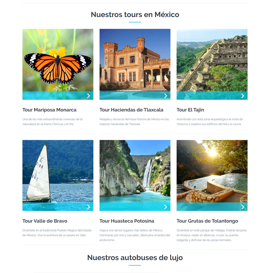 landing-page-5
